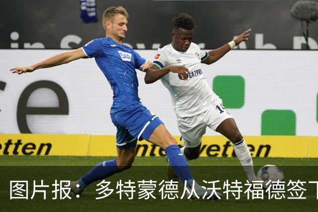 图片报：多特蒙德从沃特福德签下了一位草坪管理专家